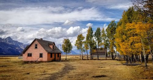 Trees and houses on field against sky