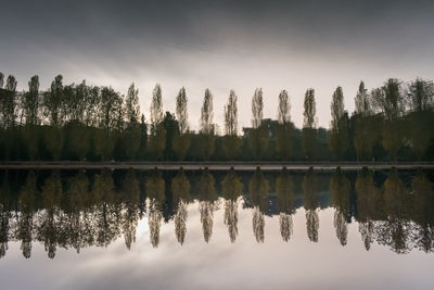 Reflection of trees in lake against sky