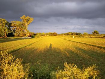 Scenic view of field against sky, golden duke and cloudy weather. the long shadow 