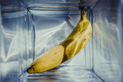 Close-up of yellow fruit on glass