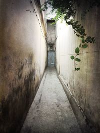 Narrow alley along walls