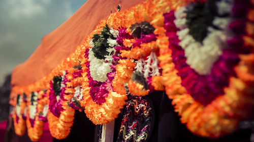 Close-up of floral garland decoration hanging on at entrance