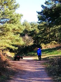 Rear view of people walking on road against trees