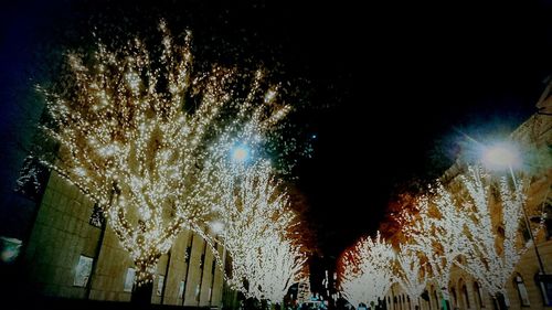 Low angle view of illuminated trees against sky at night