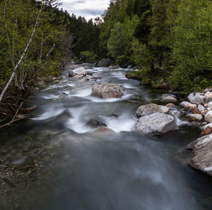 Stream flowing through rocks in forest