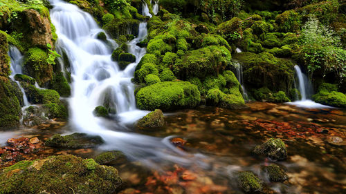 View of waterfall in forest