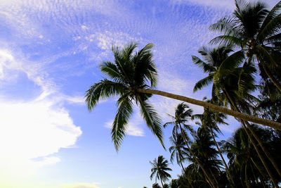 Low angle view of trees against cloudy sky