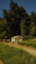 House on field