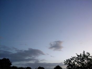 Low angle view of silhouette trees against blue sky