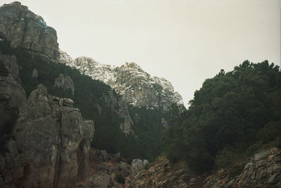 Trees on mountain against sky