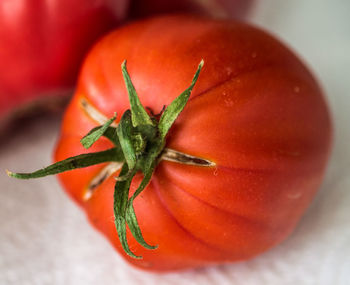 High angle view of homegrown tomato