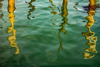 Full frame shot of yellow water floating on lake