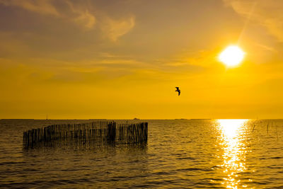 Silhouette bird flying over sea against sky during sunset