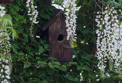 Low angle view of birdhouse on tree