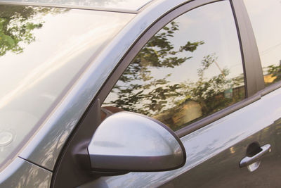 Reflection of trees on side-view mirror