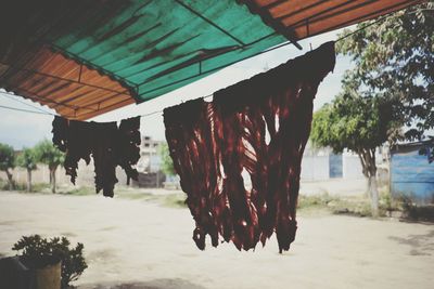 Close-up of clothes drying on beach