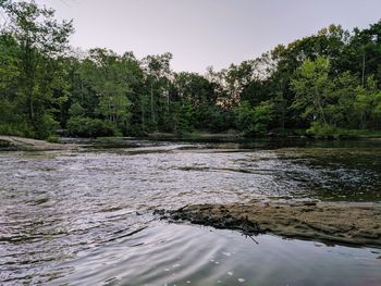 Scenic view of river amidst trees against sky