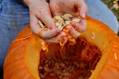 Close-up of hand holding pumpkin