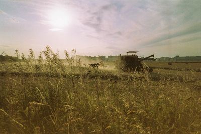 Scenic view of field against sky