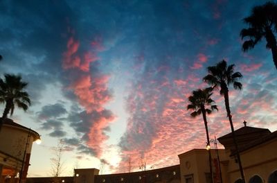 Low angle view of silhouette palm trees against sky