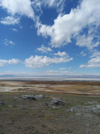 Scenic view of field against sky