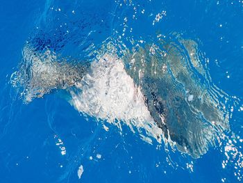 Close-up of water splashing in sea