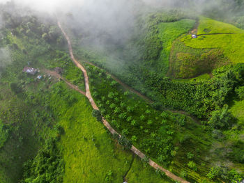 environment