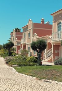 Plants growing by building against sky