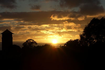 Silhouette of trees at sunset