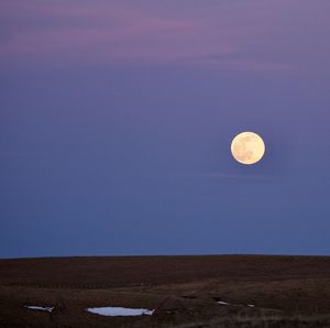 Scenic view of moon against clear sky at night