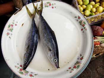 High angle view of fish in plate