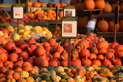 Food for sale at market stall