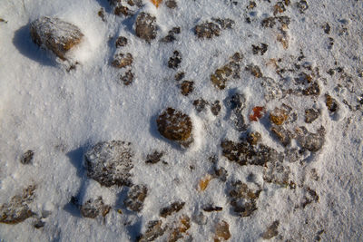 High angle view of snow on sand