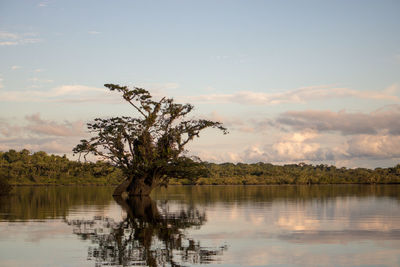 Scenic view of lake against sky during sunset