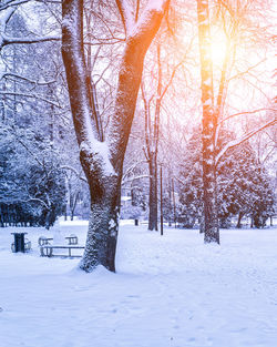 snow