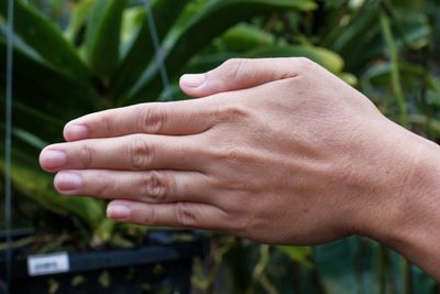 Cropped hand of person against plants