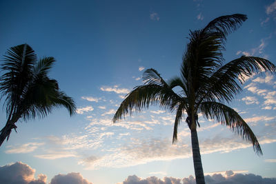 Low angle view of silhouette palm trees against sky