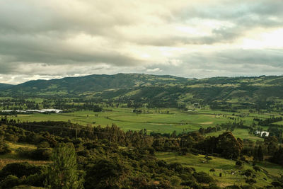 Scenic view of agricultural field against sky