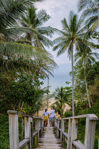 Rear view of woman walking on footpath by palm trees