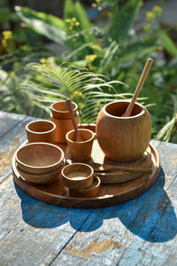 Close-up of potted plant on table