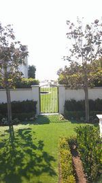 Trees and grass against sky