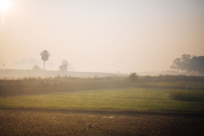 Scenic view of field against sky at foggy weather