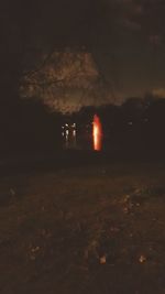 Illuminated trees against sky at night