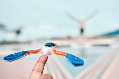 A. hand holding a bird toy 