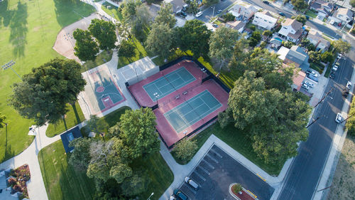 High angle view of trees in city