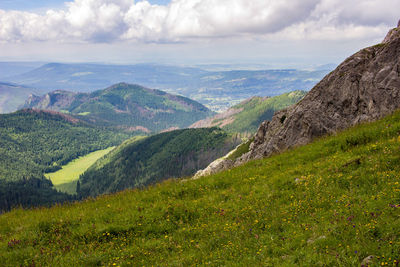 Scenic view of landscape against sky