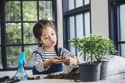 Girl looking at potted plant on table