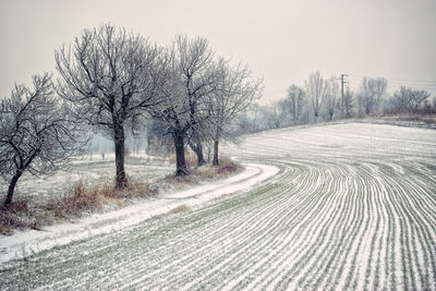 Bare trees on snowy landscape against clear sky