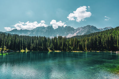 Scenic view of lake by trees against sky