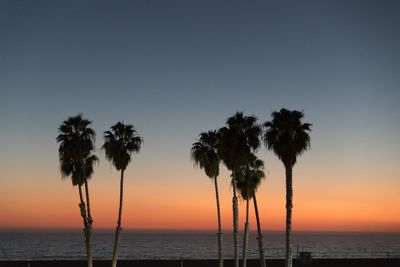 Silhouette palm trees against sea during sunset